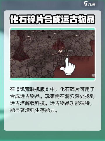 饥荒联机版🔥化石碎片详细介绍💎截图2