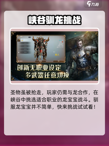 龙之灵域内测资格申请链接介绍截图4