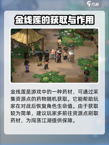 大侠立志传🔥金线莲获取攻略✨轻松拿满配！截图2