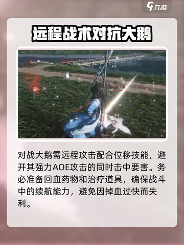 燕云十六声大鹅任务攻略介绍截图4
