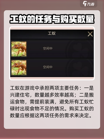 小小蚁国可以买几只工蚁介绍截图2