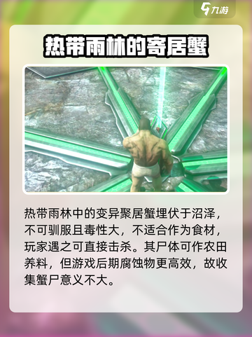 方舟终极移动版虾米是什么介绍截图4