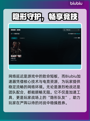 《严阵以待联机延迟高？速看解决方法！⚡》截图4