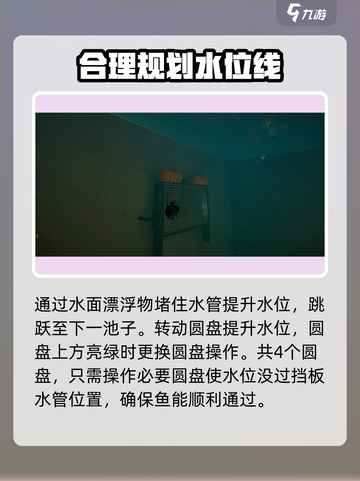 我是小鱼儿🔥食人鱼关卡通关秘籍分享！截图10
