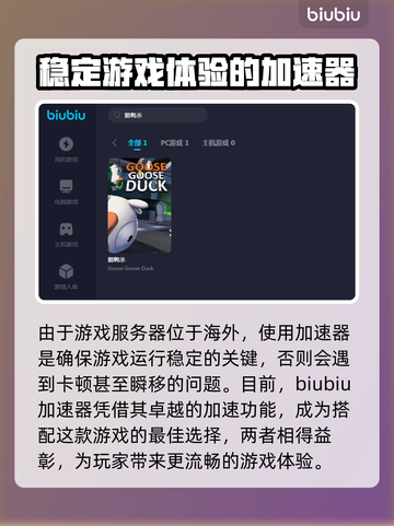 鹅鸭杀🔥加速器推荐，玩鹅鸭杀必看！🚀截图3