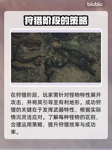 怪物猎人🔥荒野狩猎任务完成攻略💎截图2