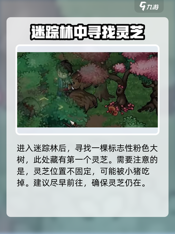 大侠立志传灵芝在哪介绍截图3