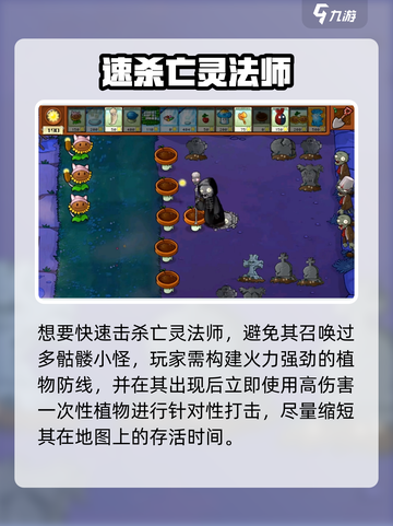 植物大战僵尸杂交版亡灵法师怎么打介绍截图3