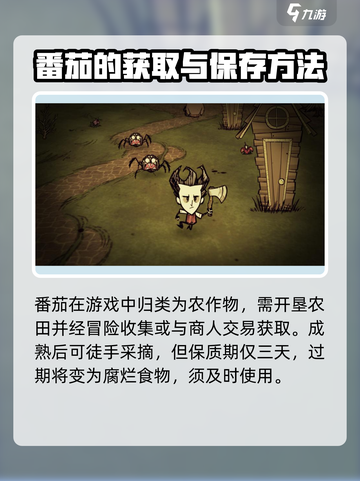 饥荒新家园番茄怎么制作介绍介绍截图2