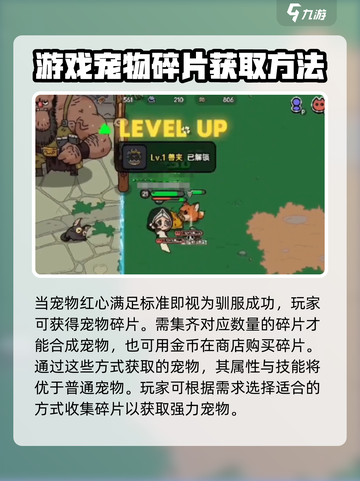 英勇之地怎么抓宠物的介绍截图4