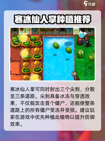 植物大战僵尸：寒冰仙人掌💎超好用！冻住僵尸不是梦🔥截图3