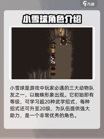 大江湖之苍龙与白鸟小雪球介绍介绍截图2