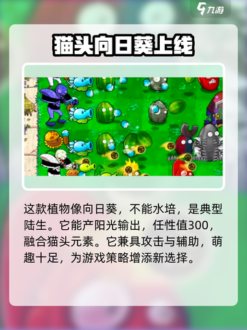 植物大战僵尸：小猫向日葵✨助你轻松取胜！截图4