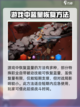 火炬之光无限魔法不够怎么办介绍截图3