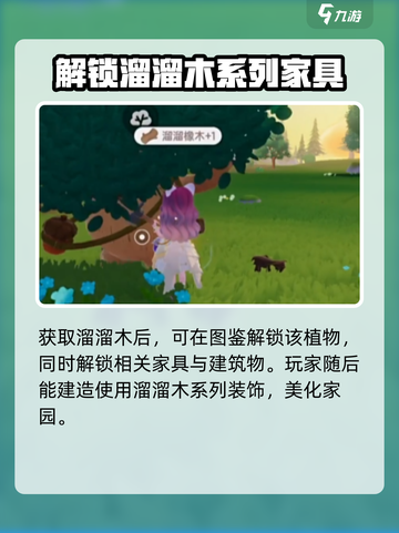 心动小镇🔥溜溜木位置大揭秘！快来看看在哪🎉截图5