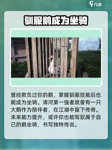燕云十六声🔥：鹅的秘密你绝对猜不到！截图3