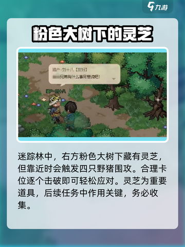 大侠立志传流程攻略之迷踪林介绍截图4