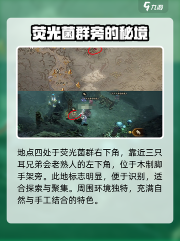 龙息神寂🔥三只耳宝藏全收集攻略📍截图5