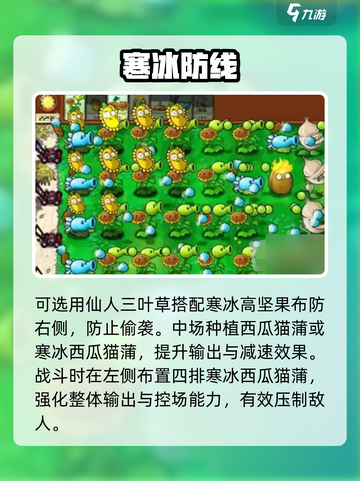 🔥植物大战僵尸无尽神阵！💥截图3