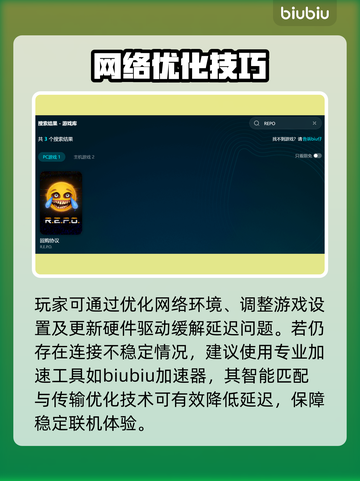 🔥REPO延迟掉线？速看解决攻略！💥截图3