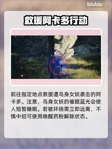 龙之信条2🔥新兵苦难通关秘籍💎截图3