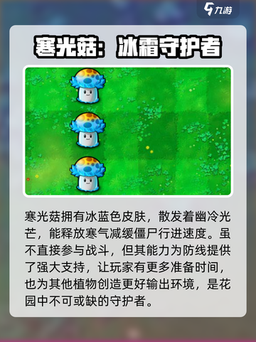 植物大战僵尸：寒光菇🔥超强攻略来啦！截图2