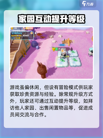 梦想家园💥快速升级秘籍，轻松满级不是梦！🔥截图3