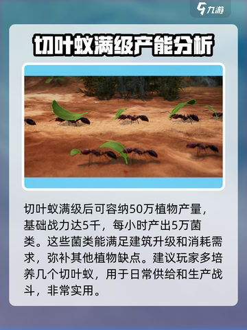 小小蚁国切叶蚁有什么用介绍截图4