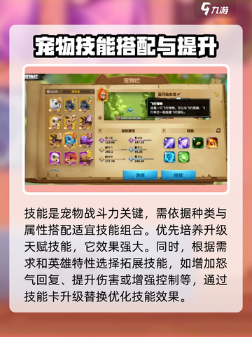 万龙觉醒完美的宠物怎么培养介绍截图4