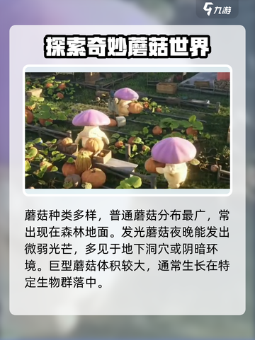 七日世界蘑菇在哪采集介绍截图2