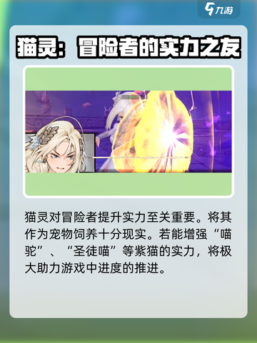 森之国度🔥紫卡超详细解析来啦！✨截图4