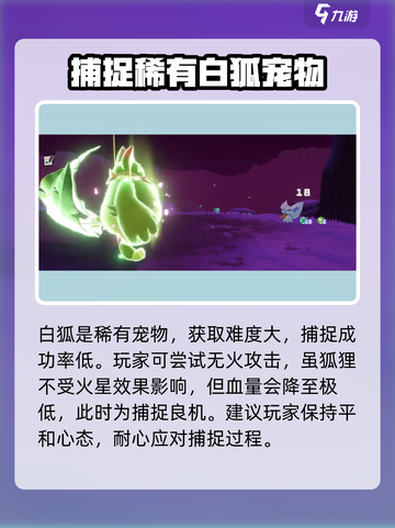 洛克王国手游怎么抓白狐介绍截图4