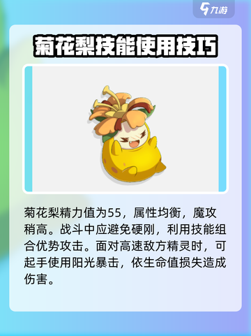 洛克王国🔥战宠推荐，战士宠物最强阵容✨截图2