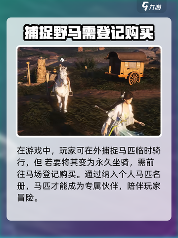 燕云十六声怎么骑马介绍截图5