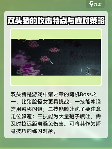 暖雪手游双头猪怎么打介绍截图2