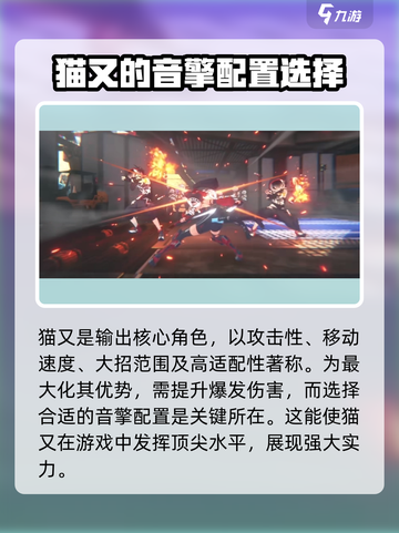 绝区零：猫娘来袭！🐱角色详解🔥截图2