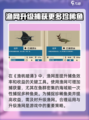 渔帆暗涌⚡渔网升级全攻略🎉游戏党必看！截图2