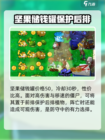 植物大战僵尸：杂交坚果储钱罐💎竟能逆天改命！截图4