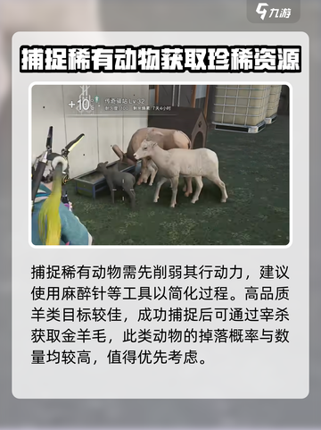 七日世界金羊毛获取攻略介绍截图5