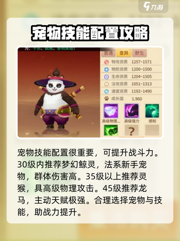 梦想桃源宠物养成🔥超详细玩法解析来啦！截图4