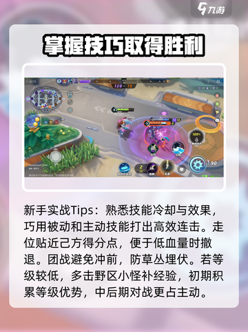 宝可梦大集结🔥超详细玩法技巧攻略来啦！截图5