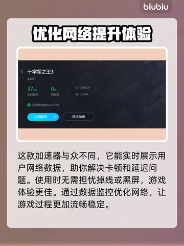 十字军之王3卡顿？用这款加速器🔥🚀截图5