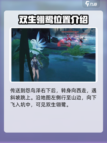 鸣潮双生翎鹭在哪介绍截图3