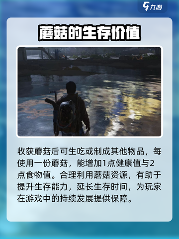 七日世界手游怎么种蘑菇介绍截图4