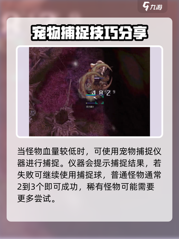 仙境传说RO新启航宠物怎么捕捉介绍截图3