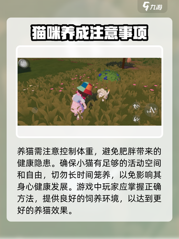 心动小镇养猫完全攻略🐱，云吸猫必备！截图4