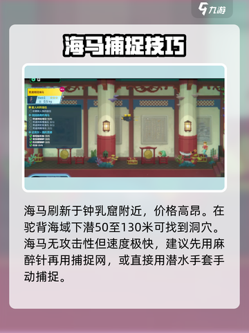 潜水员戴夫怎么抓海马介绍截图3