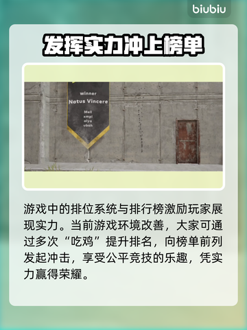 PUBG流畅秘诀💎好用加速器推荐🚀截图7