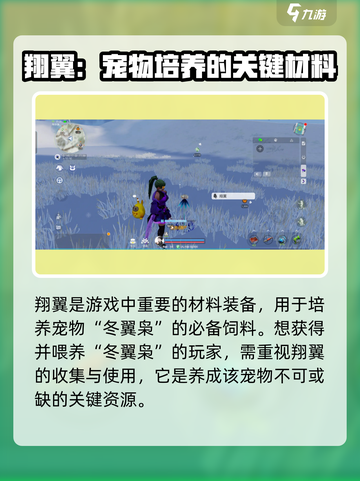 创造吧我们的星球翔翼是什么介绍截图2