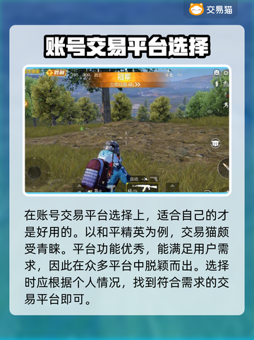 和平精英：选对卖号平台，稳赚💰！🔥截图2